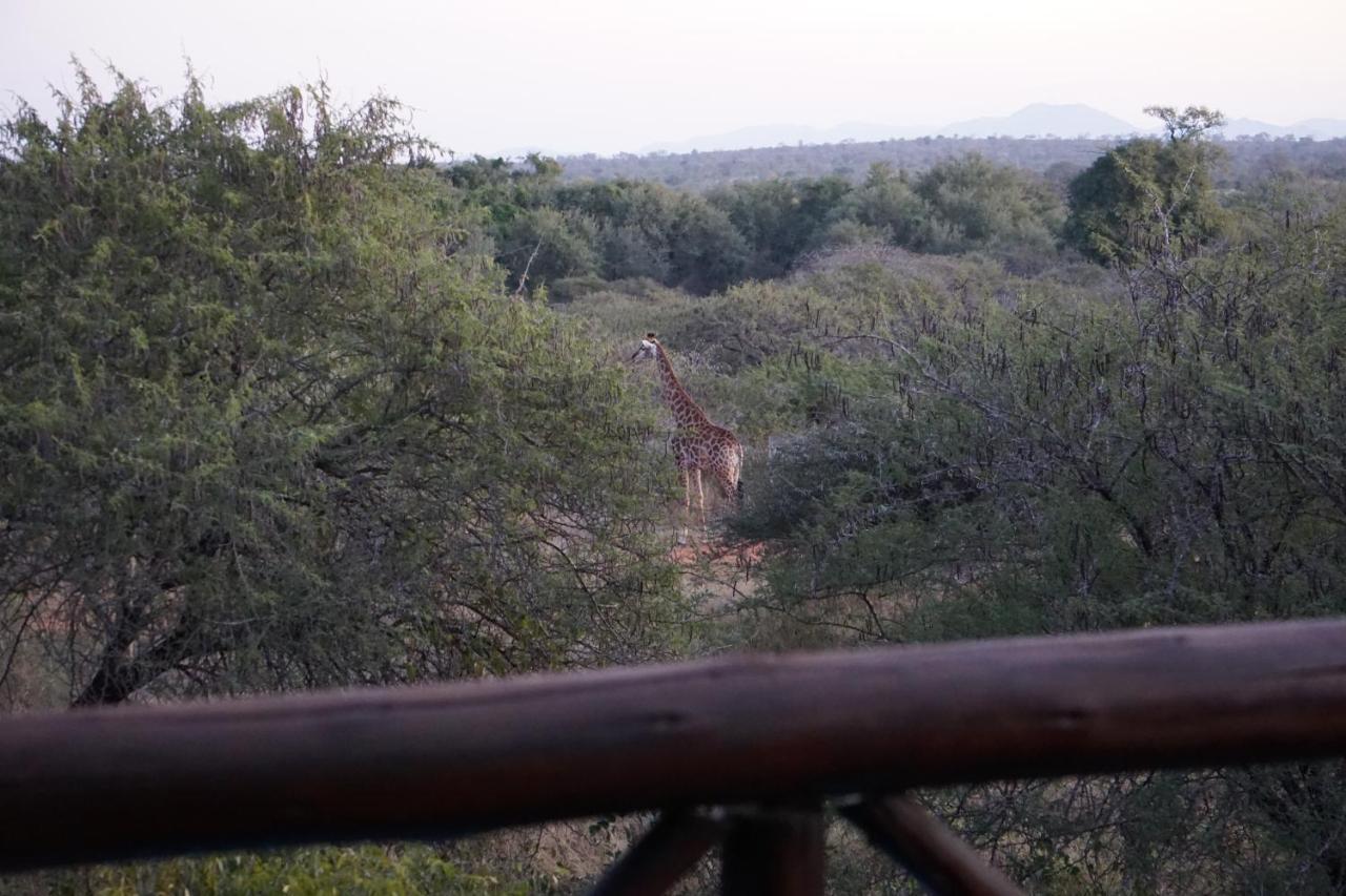 Giraffe Plains Villa มาร์ลอทพาร์ค ภายนอก รูปภาพ